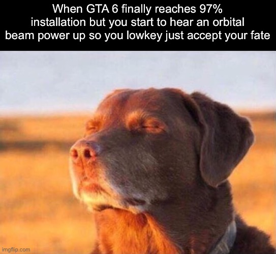 Dog close eye | When GTA 6 finally reaches 97% installation but you start to hear an orbital beam power up so you lowkey just accept your fate | image tagged in dog close eye | made w/ Imgflip meme maker