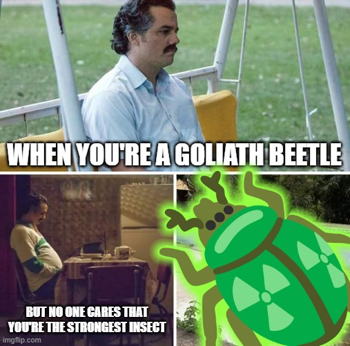 gbp | image tagged in meme,by memedian,sad pablo escobar,nothing makes one feel,_______/_________,thxs20flws | made w/ Imgflip meme maker