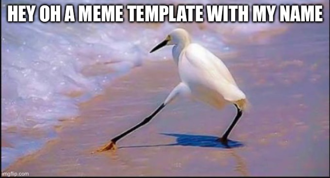 I looked up Razzle dazzle on imgflip and saw this | HEY OH A MEME TEMPLATE WITH MY NAME | image tagged in razzle dazzle bird,funny,memes,name,template,razzle dazzle | made w/ Imgflip meme maker
