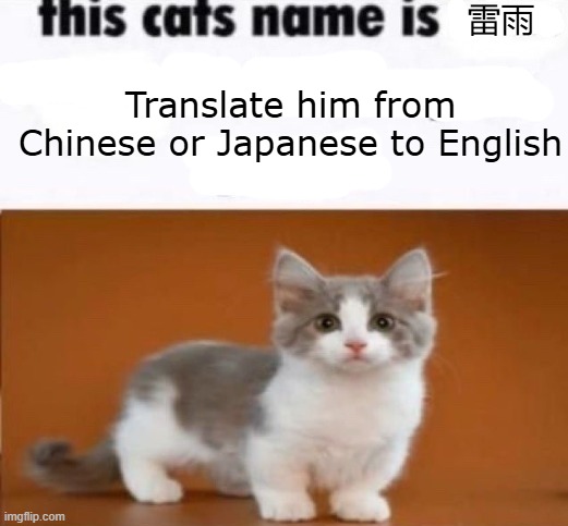 updated version | 雷雨; Translate him from Chinese or Japanese to English | image tagged in this cats name is x look him up on google,monsterdruth,dont say it,dont_say_it,420 | made w/ Imgflip meme maker
