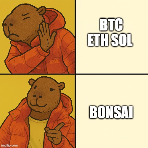 bonsai capybara | BTC ETH SOL; BONSAI | image tagged in bonsai,capybara,drake,crypto,btc | made w/ Imgflip meme maker