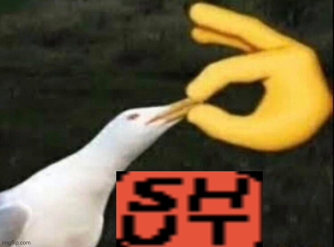 SHUT | image tagged in shut | made w/ Imgflip meme maker