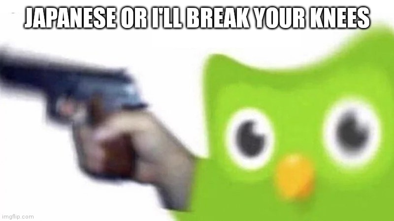 duolingo gun | JAPANESE OR I'LL BREAK YOUR KNEES | image tagged in duolingo gun | made w/ Imgflip meme maker