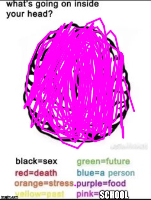 What's going on inside your head? | SCHOOL | image tagged in what's going on inside your head | made w/ Imgflip meme maker