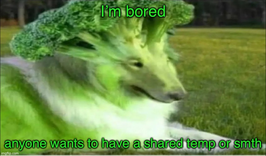 Broco dogo | I’m bored; anyone wants to have a shared temp or smth | image tagged in broco dogo | made w/ Imgflip meme maker
