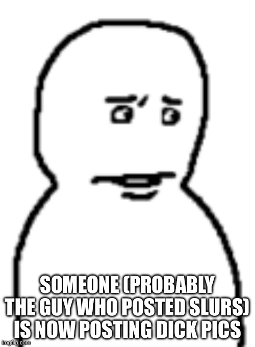 Bro… | SOMEONE (PROBABLY THE GUY WHO POSTED SLURS) IS NOW POSTING DICK PICS | image tagged in bro | made w/ Imgflip meme maker