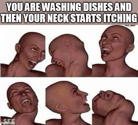YOU ARE WASHING DISHES AND THEN YOUR NECK STARTS ITCHING | image tagged in washing dishes | made w/ Imgflip meme maker