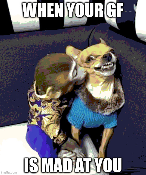 angry | WHEN YOUR GF; IS MAD AT YOU | image tagged in angry | made w/ Imgflip meme maker