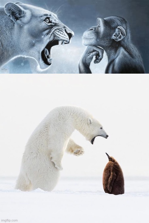 image tagged in tiger yell at pondering monkey | made w/ Imgflip meme maker
