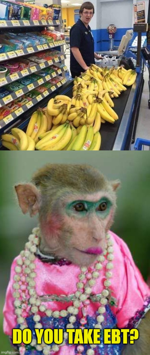 Monkey Business | DO YOU TAKE EBT? | image tagged in monkeys,banana,shopping,food stamps,funny memes | made w/ Imgflip meme maker