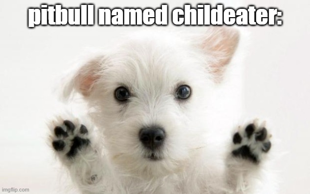 cute dog | pitbull named childeater: | image tagged in cute dog | made w/ Imgflip meme maker