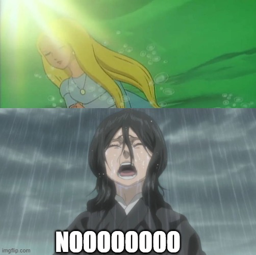 rukia crys over marina's death | NOOOOOOOO | image tagged in who crys over marina's death,rukia,bleach,the little mermaid,movie ending,noooooo | made w/ Imgflip meme maker