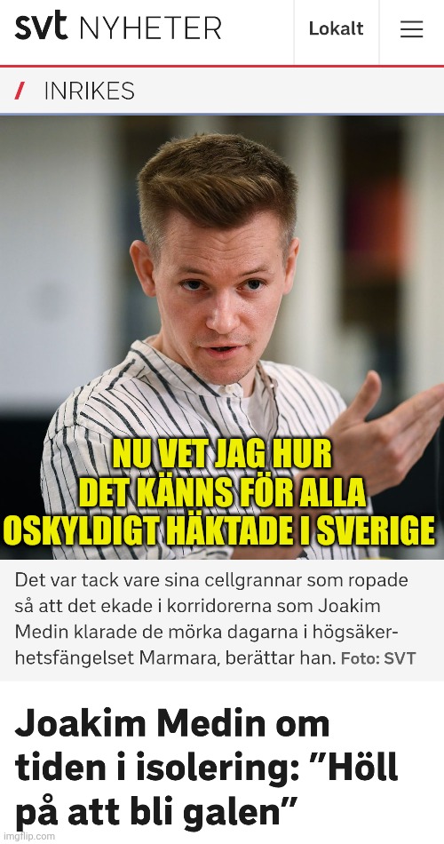 Joakim Medin Turkiet Journalist Häktad Sverige Diktatur Blank Meme Template