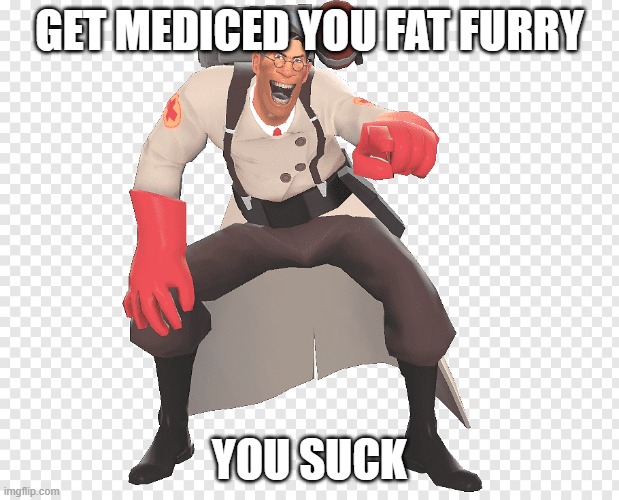 GET MEDICED YOU FAT FURRY; YOU SUCK | image tagged in anti furry,the medic tf2,repost | made w/ Imgflip meme maker