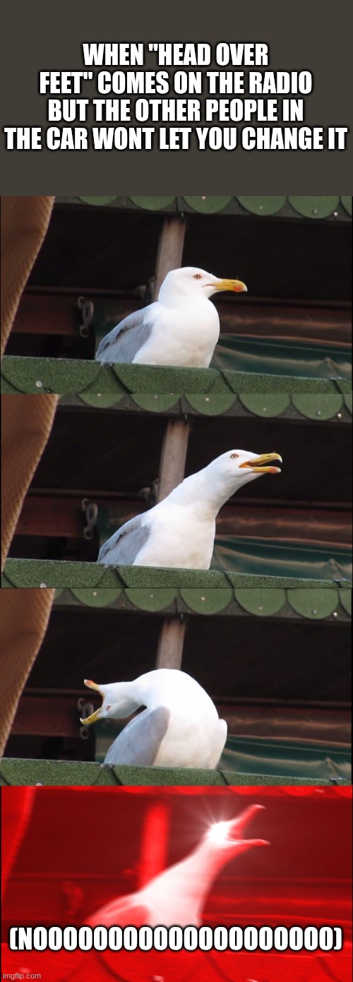 no not this song | WHEN "HEAD OVER FEET" COMES ON THE RADIO BUT THE OTHER PEOPLE IN THE CAR WONT LET YOU CHANGE IT; (NOOOOOOOOOOOOOOOOOOOO) | image tagged in memes,inhaling seagull | made w/ Imgflip meme maker