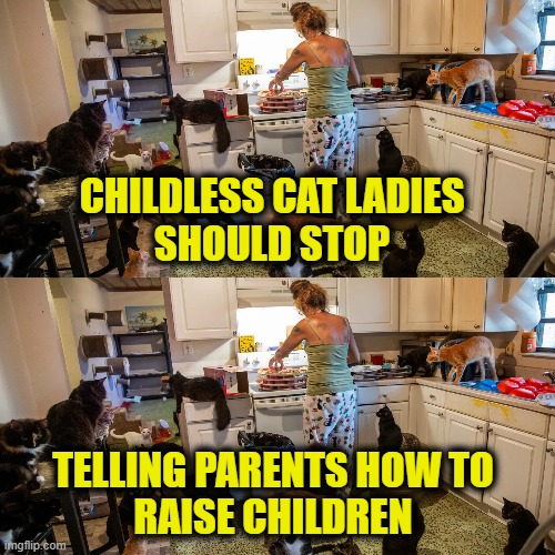 More Leftist Logic | CHILDLESS CAT LADIES
SHOULD STOP; TELLING PARENTS HOW TO
RAISE CHILDREN | image tagged in crazy cat lady | made w/ Imgflip meme maker