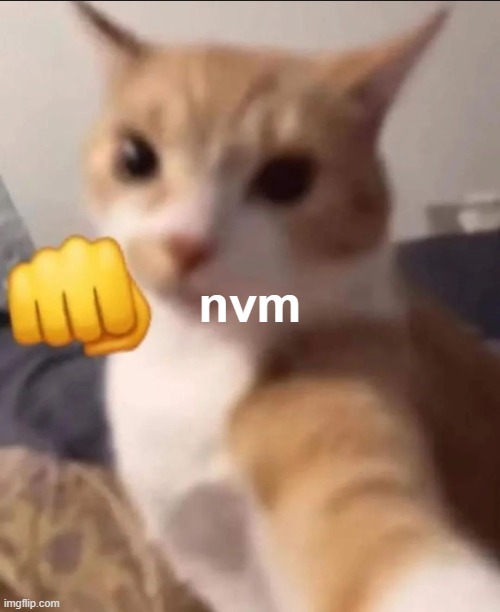 Punching cat | nvm | image tagged in punching cat | made w/ Imgflip meme maker