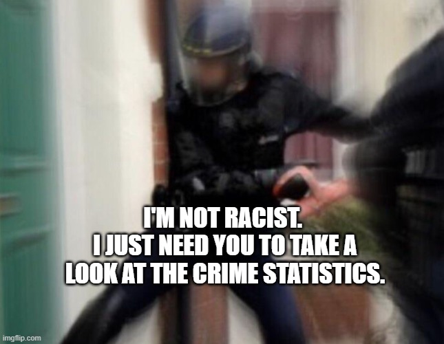 FBI statistics | I'M NOT RACIST. 
I JUST NEED YOU TO TAKE A LOOK AT THE CRIME STATISTICS. | image tagged in fbi door breach | made w/ Imgflip meme maker