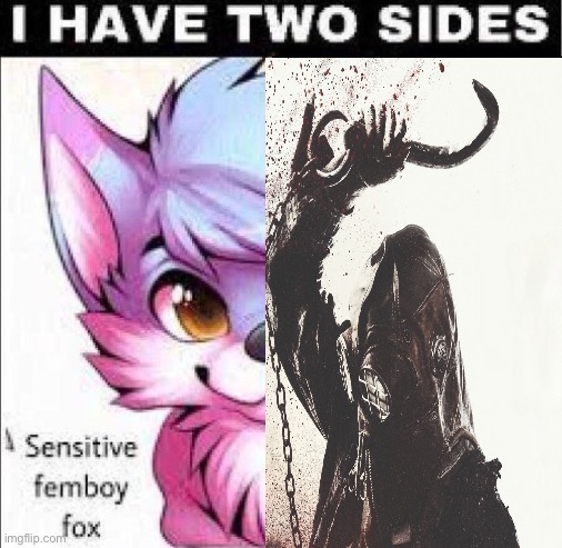 I have two sides | image tagged in i have two sides | made w/ Imgflip meme maker