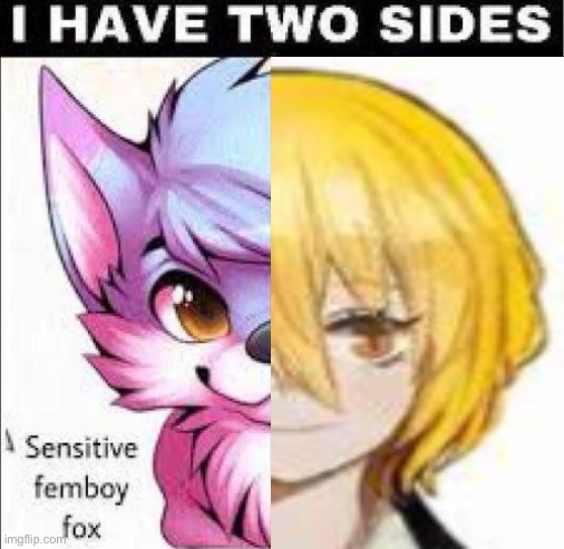 I have two sides | image tagged in i have two sides | made w/ Imgflip meme maker