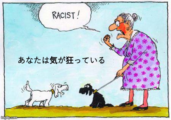 crazy dog moms | あなたは気が狂っている | image tagged in racist dog | made w/ Imgflip meme maker