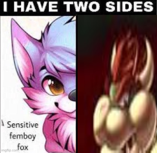 I have two sides | image tagged in i have two sides | made w/ Imgflip meme maker
