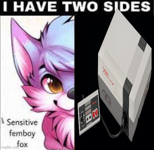 recently got my NES to work so ye | image tagged in i have two sides | made w/ Imgflip meme maker