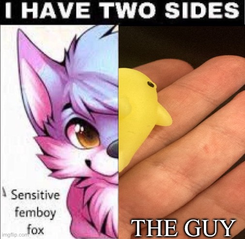 The guy | THE GUY | image tagged in i have two sides | made w/ Imgflip meme maker