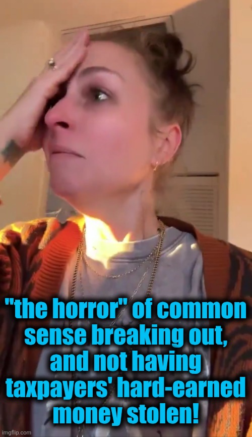 "the horror" of common
sense breaking out,
and not having
taxpayers' hard-earned
money stolen! | made w/ Imgflip meme maker