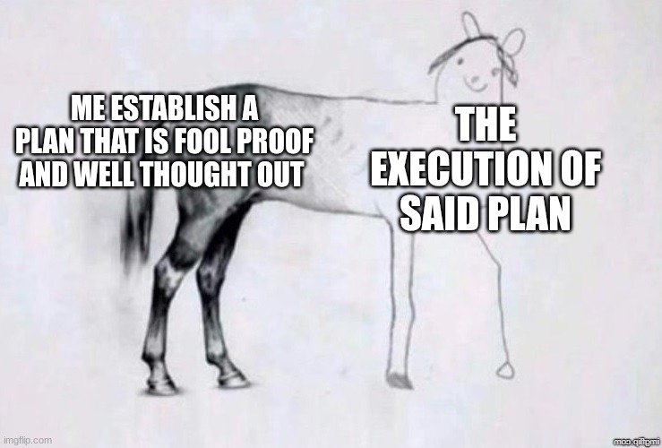 Horse Drawing | ME ESTABLISH A PLAN THAT IS FOOL PROOF AND WELL THOUGHT OUT; THE EXECUTION OF SAID PLAN | image tagged in horse drawing,meme | made w/ Imgflip meme maker