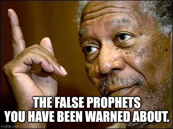 This Morgan Freeman | THE FALSE PROPHETS YOU HAVE BEEN WARNED ABOUT. | image tagged in this morgan freeman | made w/ Imgflip meme maker