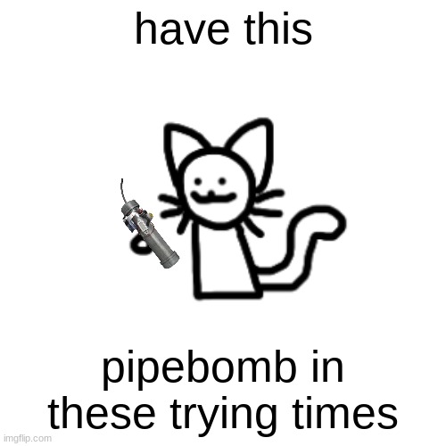 Pipe bomb :3 | have this; pipebomb in these trying times | image tagged in pipe bomb 3 | made w/ Imgflip meme maker