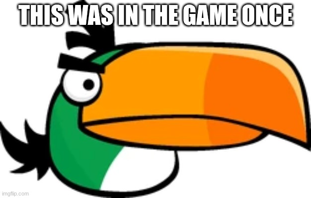 Hal | THIS WAS IN THE GAME ONCE | image tagged in green,bird,angry birds | made w/ Imgflip meme maker