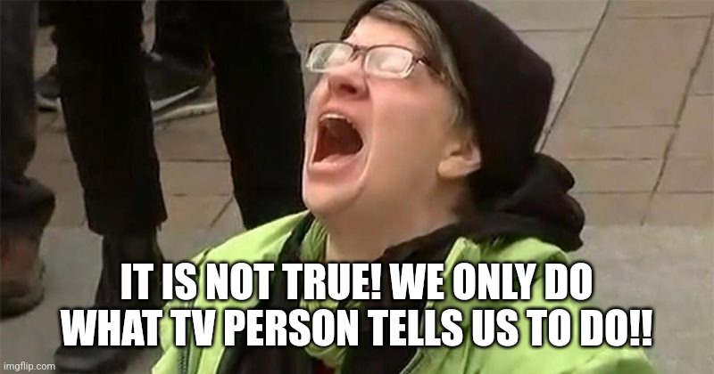 crying liberal | IT IS NOT TRUE! WE ONLY DO WHAT TV PERSON TELLS US TO DO!! | image tagged in crying liberal | made w/ Imgflip meme maker