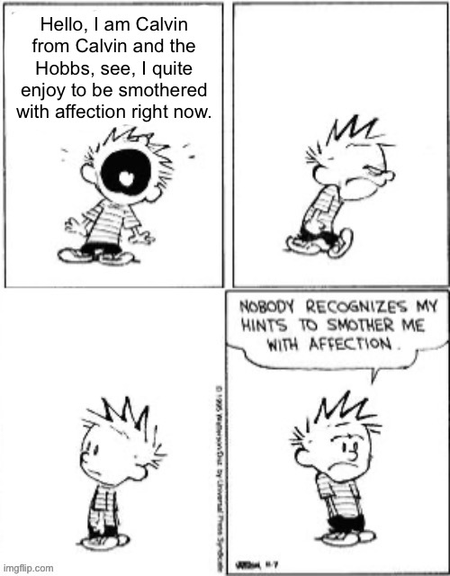 Ts is a real crack up | Hello, I am Calvin from Calvin and the Hobbs, see, I quite enjoy to be smothered with affection right now. | image tagged in nobody recognizes my hints to smother me with attention | made w/ Imgflip meme maker