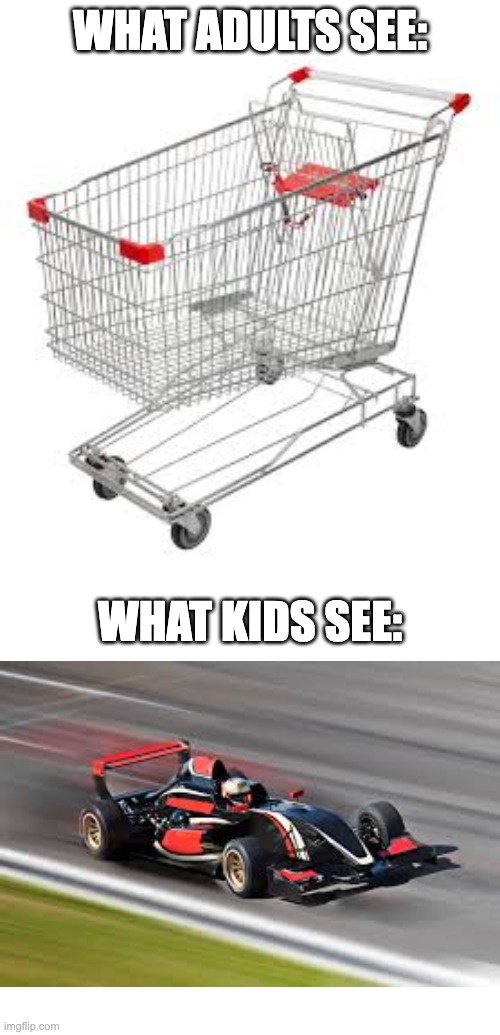 If you didn't do this, you had no childhood | WHAT ADULTS SEE:; WHAT KIDS SEE: | image tagged in what adults see what kids see,racecar,shopping cart | made w/ Imgflip meme maker