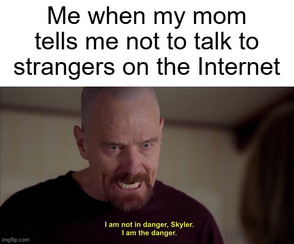 stranger danger | Me when my mom tells me not to talk to strangers on the Internet | image tagged in i am not in danger skyler i am the danger,walter white,breaking bad,memes,internet,i'm a groomer | made w/ Imgflip meme maker