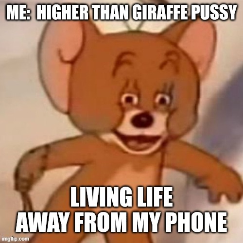 only on meme overload | made w/ Imgflip meme maker