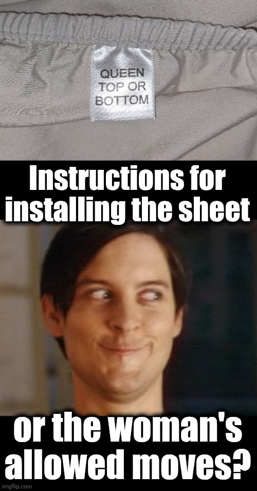 Instructions for
installing the sheet; or the woman's
allowed moves? | image tagged in memes,spiderman peter parker,sheet,queen top or bottom | made w/ Imgflip meme maker