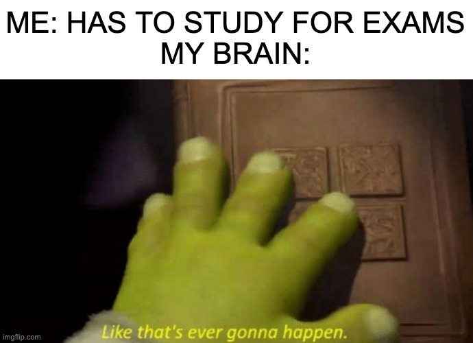 I'll get a good grade either way, right...? | ME: HAS TO STUDY FOR EXAMS
MY BRAIN: | image tagged in like that's ever gonna happen | made w/ Imgflip meme maker