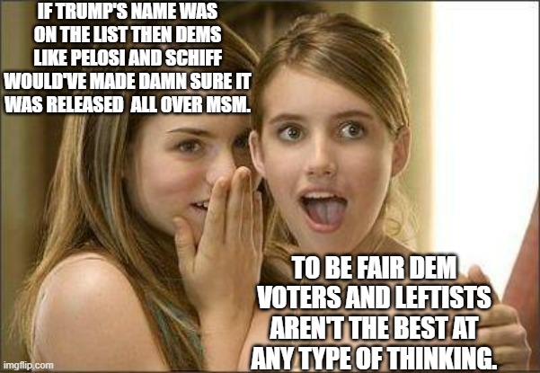 Girls gossiping | IF TRUMP'S NAME WAS ON THE LIST THEN DEMS LIKE PELOSI AND SCHIFF WOULD'VE MADE DAMN SURE IT WAS RELEASED  ALL OVER MSM. TO BE FAIR DEM VOTER | image tagged in girls gossiping | made w/ Imgflip meme maker