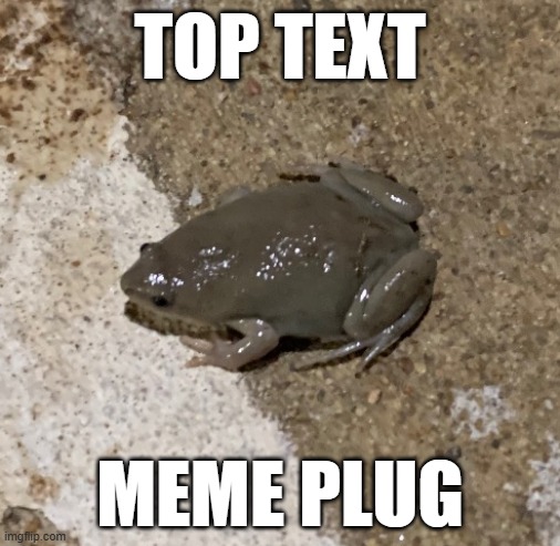 fog | TOP TEXT; MEME PLUG | image tagged in fog | made w/ Imgflip meme maker