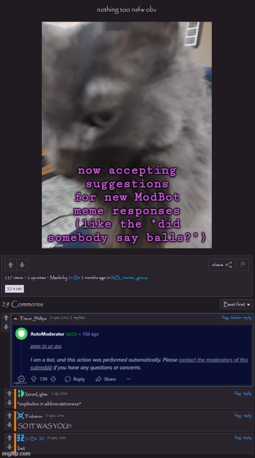 made w/ Imgflip meme maker