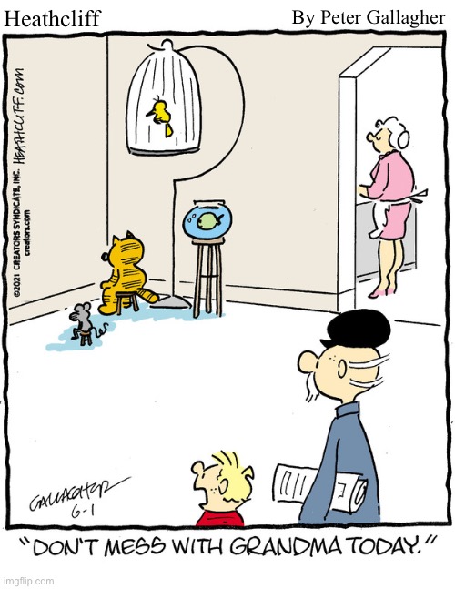 By Peter Gallagher; Heathcliff | image tagged in comics,heathcliff,cat,mad grandma | made w/ Imgflip meme maker