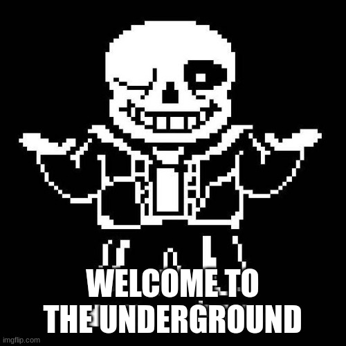 sans undertale | WELCOME TO THE UNDERGROUND | image tagged in sans undertale | made w/ Imgflip meme maker