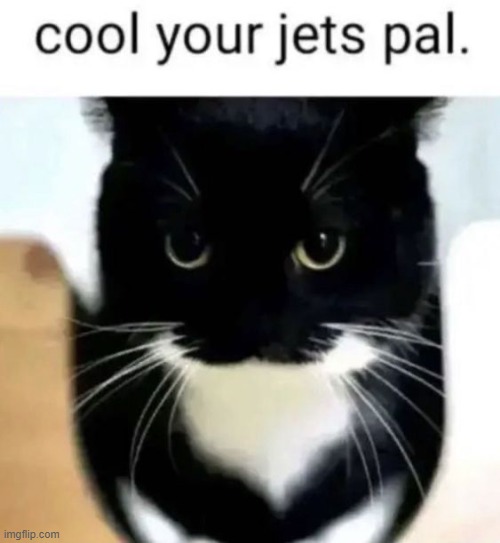 Cool your jets pal | image tagged in cool your jets pal | made w/ Imgflip meme maker