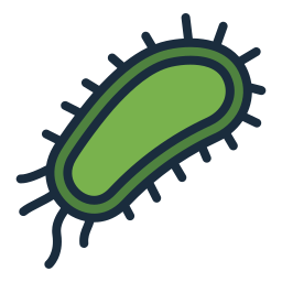 E. coli Meme Template