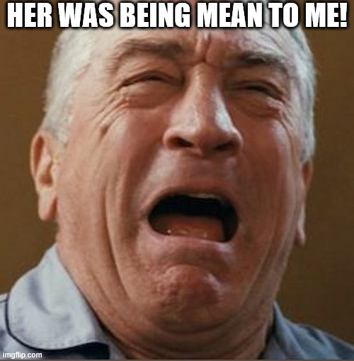 What a  CRYBABY   LIBERAL   WIENER! | HER WAS BEING MEAN TO ME! | image tagged in crybaby,robert de niro,whining baby,mean | made w/ Imgflip meme maker