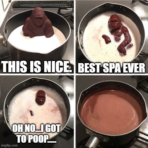 ? | THIS IS NICE. BEST SPA EVER; OH NO...I GOT
TO POOP..... | image tagged in chocolate gorilla,poop,crude jokes,ewwwww,why bro | made w/ Imgflip meme maker