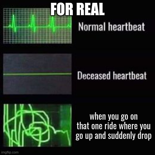 happened | FOR REAL; when you go on that one ride where you go up and suddenly drop | image tagged in heartbeat rate perfect | made w/ Imgflip meme maker